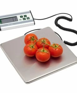 LEM Stainless Steel Digital Scale | 330 Lb