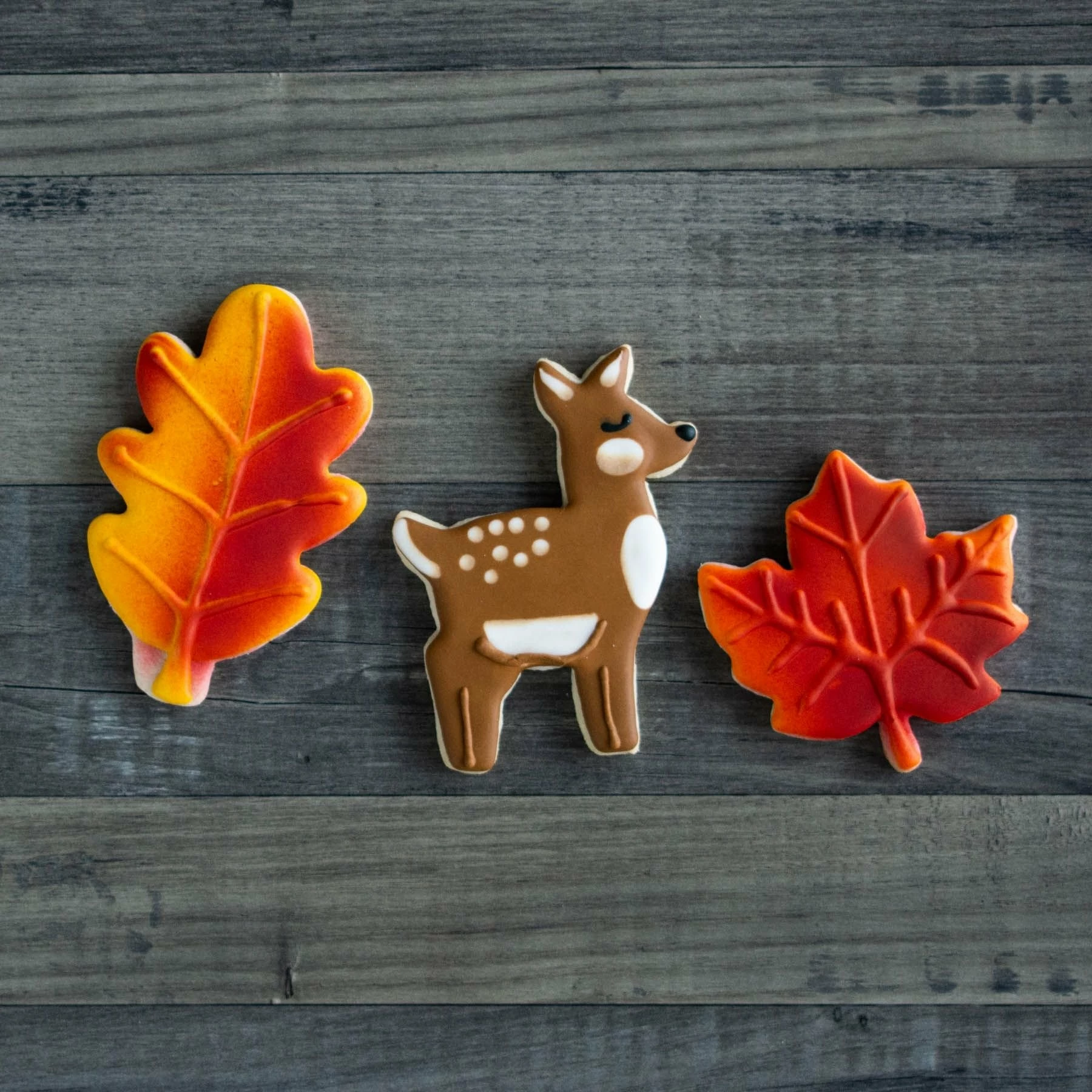 Ann Clark Ltd Ann Clark Oak Leaf Cookie Cutter - Image 4